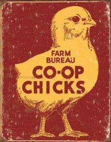 Tin Sign - Farm Bureau Co-op Chicks